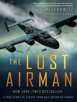 cover image of The Lost Airman